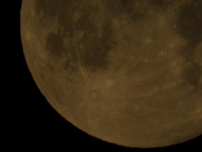 Moon Moon